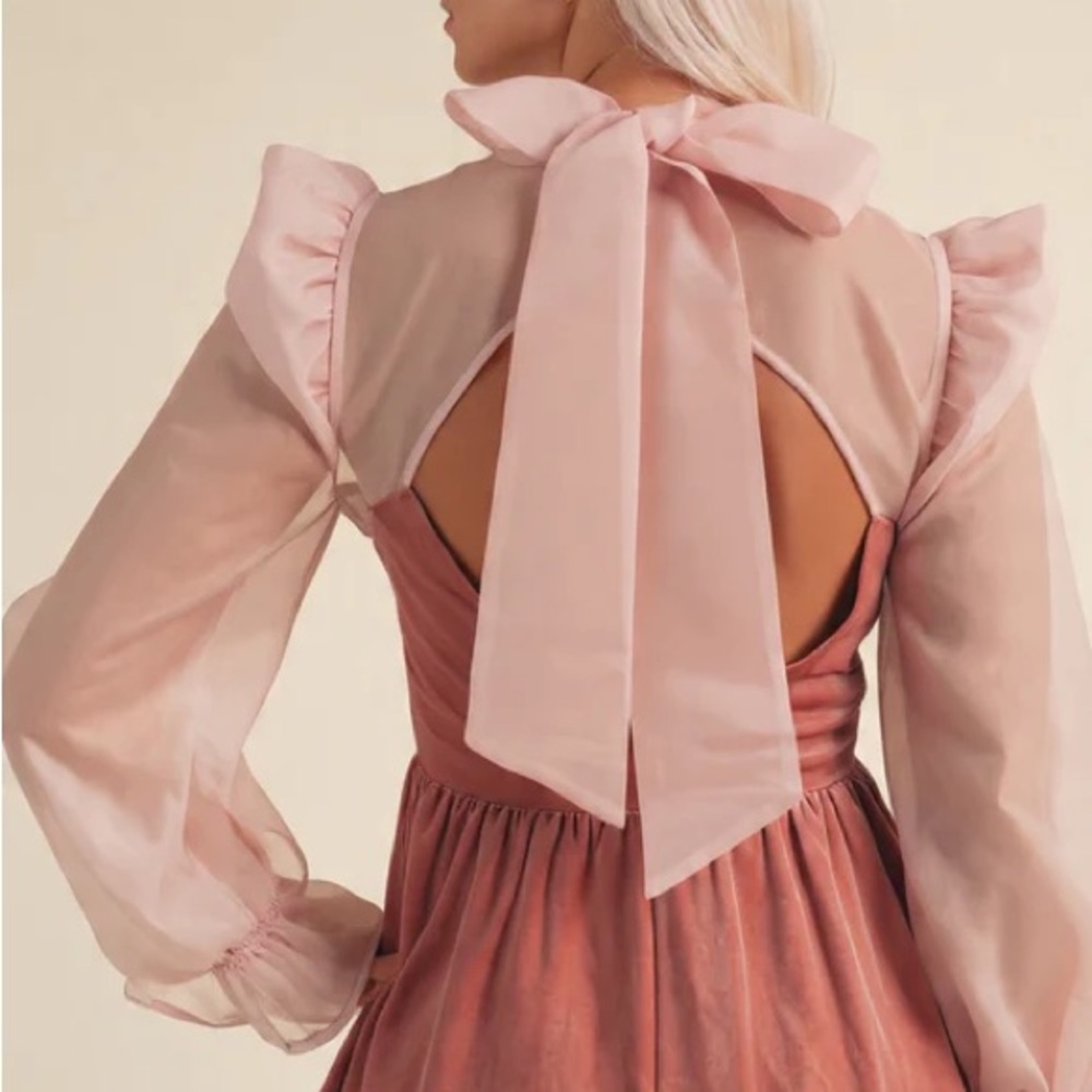 New Puff Sleeve Velvet & Sheer Dress